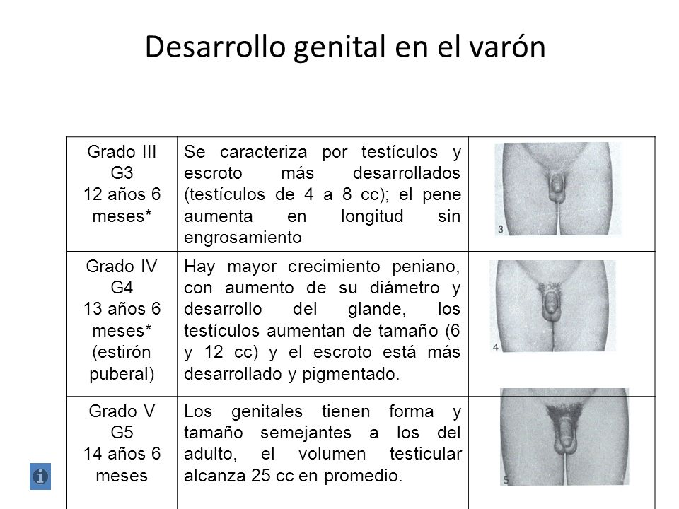 Demotivatory de los pequeños miembros